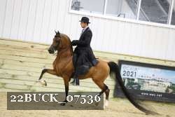22BUCK_07536 proof