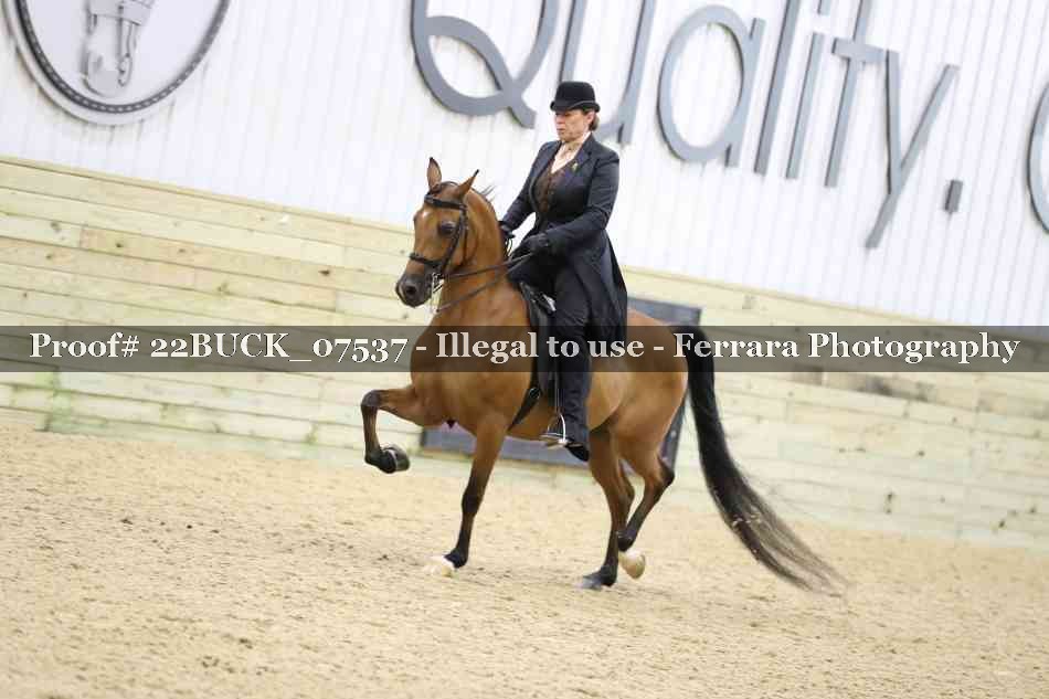 Proof 22BUCK_07537