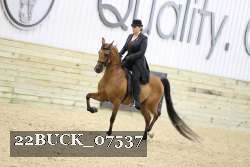 22BUCK_07537 proof