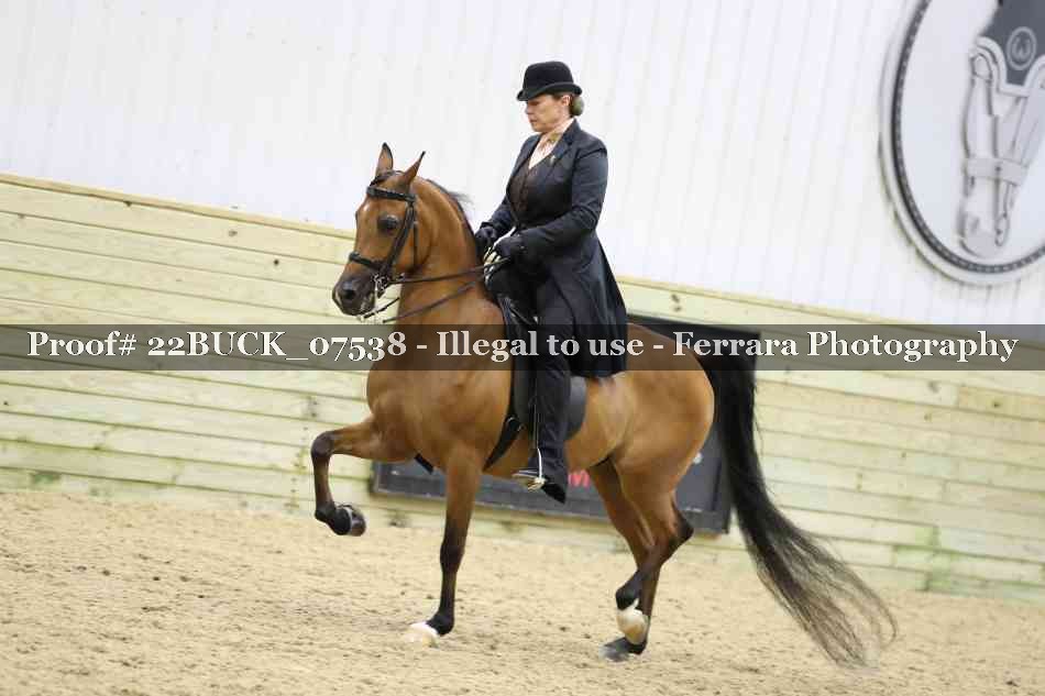Proof 22BUCK_07538