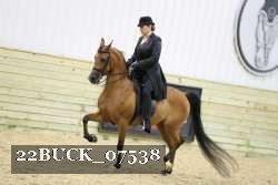 22BUCK_07538 proof