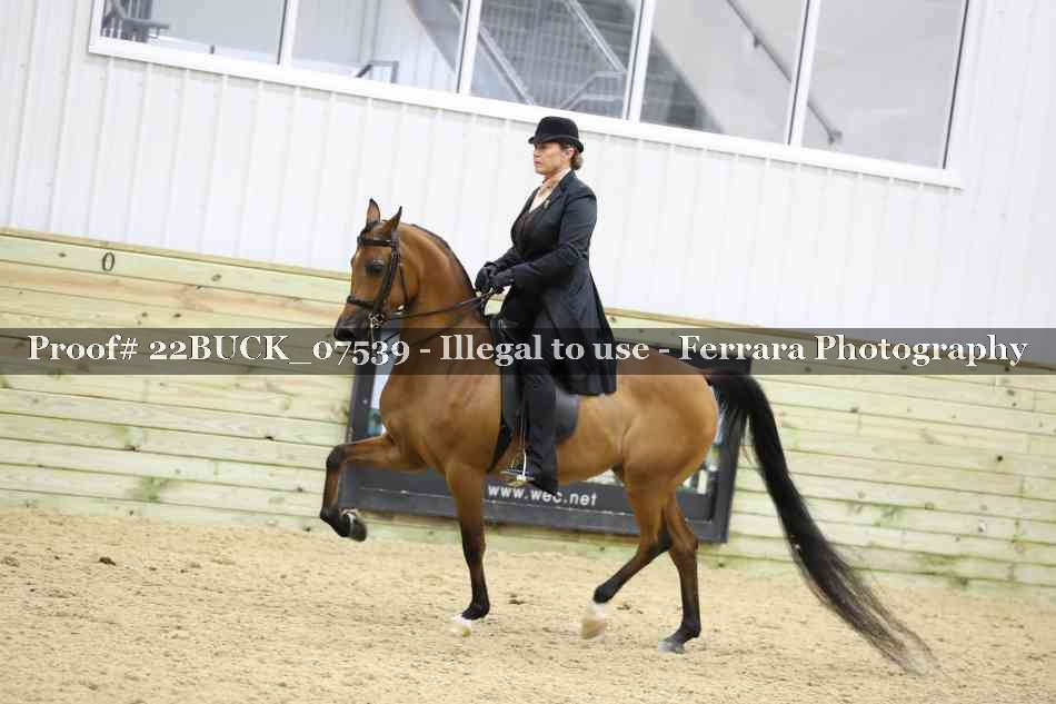Proof 22BUCK_07539