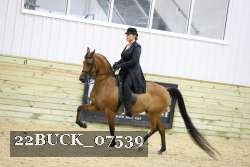 22BUCK_07539 proof