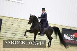 22BUCK_07540 proof
