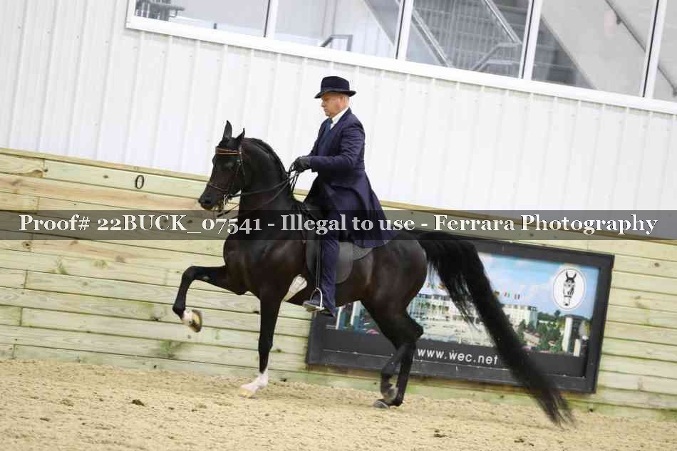 Proof 22BUCK_07541