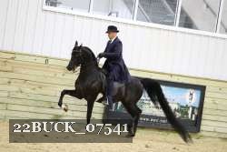 22BUCK_07541 proof
