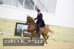 22BUCK_07542 proof