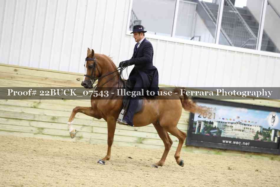 Proof 22BUCK_07543
