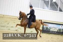 22BUCK_07543 proof