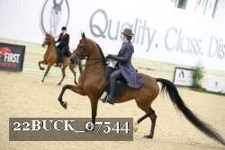 22BUCK_07544 proof