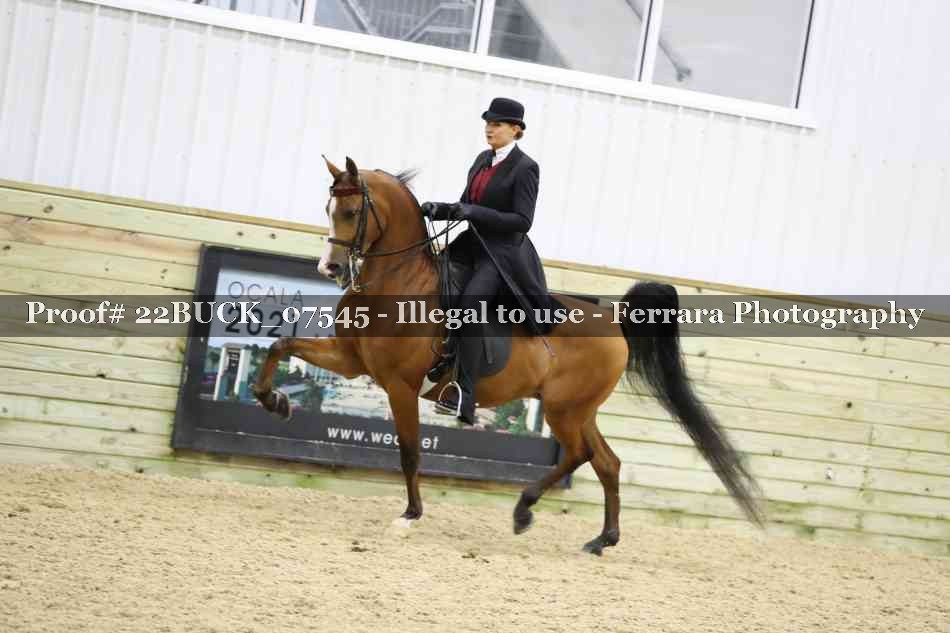 Proof 22BUCK_07545