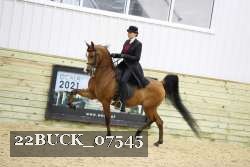 22BUCK_07545 proof