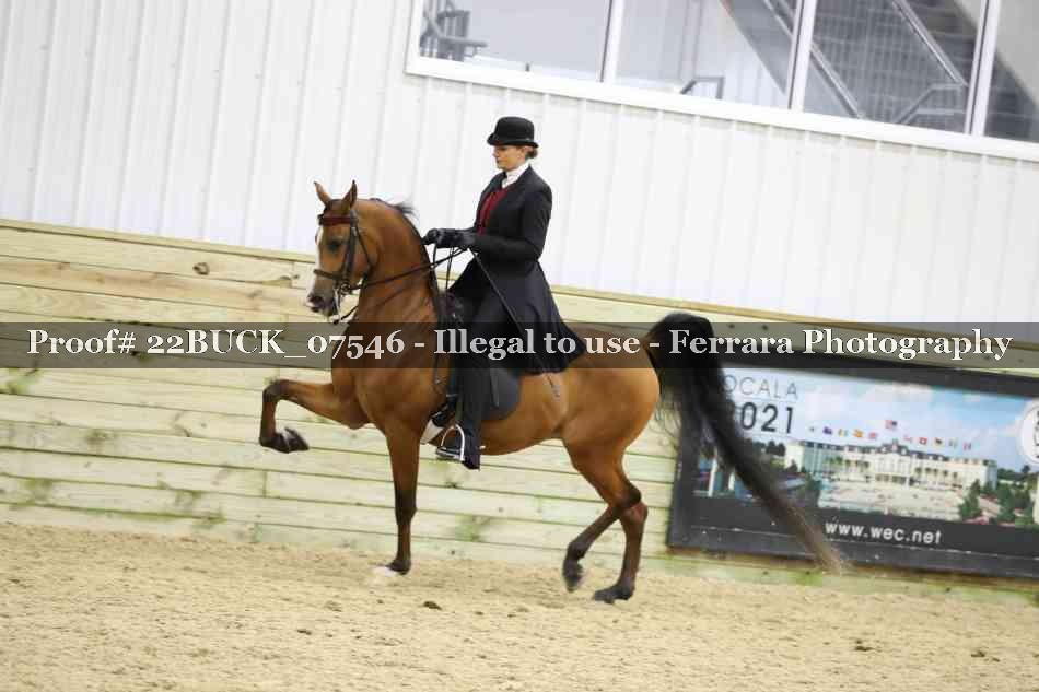 Proof 22BUCK_07546