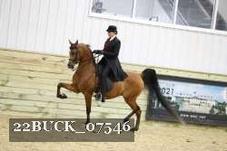 22BUCK_07546 proof
