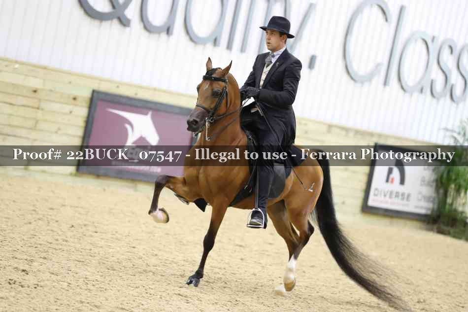 Proof 22BUCK_07547