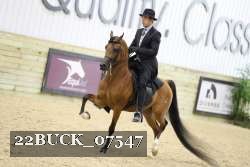 22BUCK_07547 proof