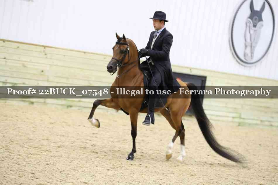 Proof 22BUCK_07548