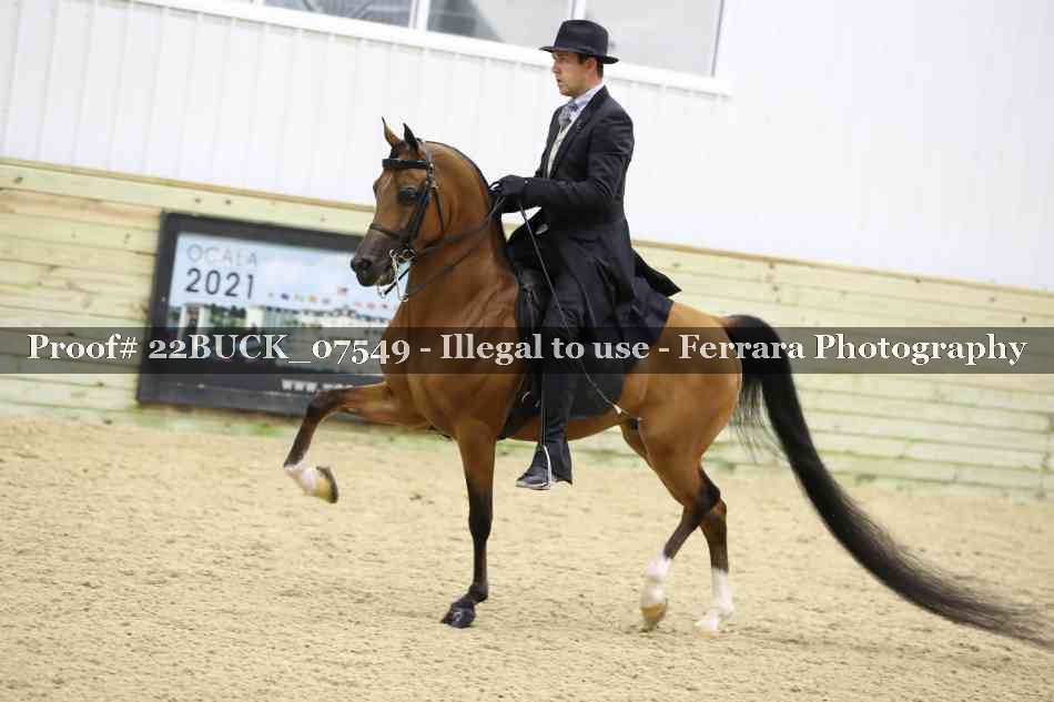Proof 22BUCK_07549