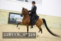 22BUCK_07549 proof