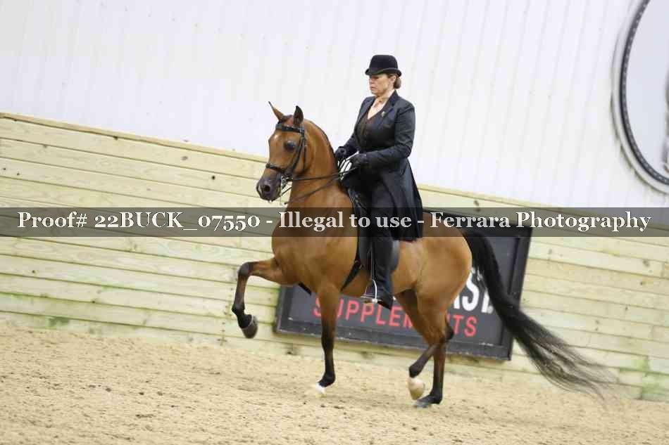 Proof 22BUCK_07550