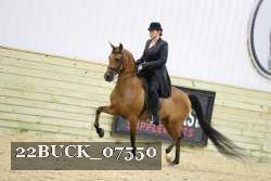22BUCK_07550 proof