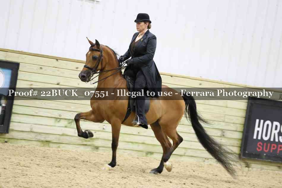 Proof 22BUCK_07551