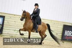 22BUCK_07551 proof