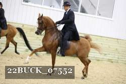 22BUCK_07552 proof