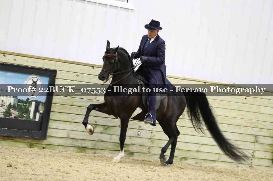 Proof 22BUCK_07553