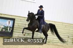 22BUCK_07553 proof