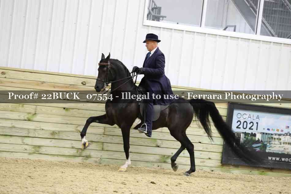 Proof 22BUCK_07554