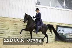 22BUCK_07554 proof
