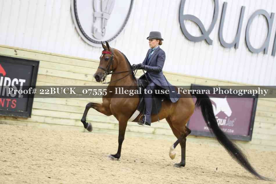 Proof 22BUCK_07555