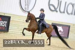 22BUCK_07555 proof
