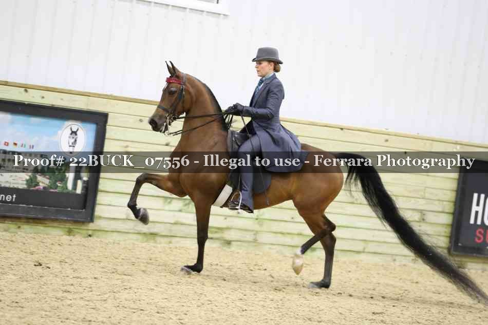 Proof 22BUCK_07556