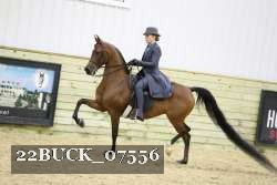 22BUCK_07556 proof