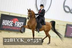 22BUCK_07557 proof
