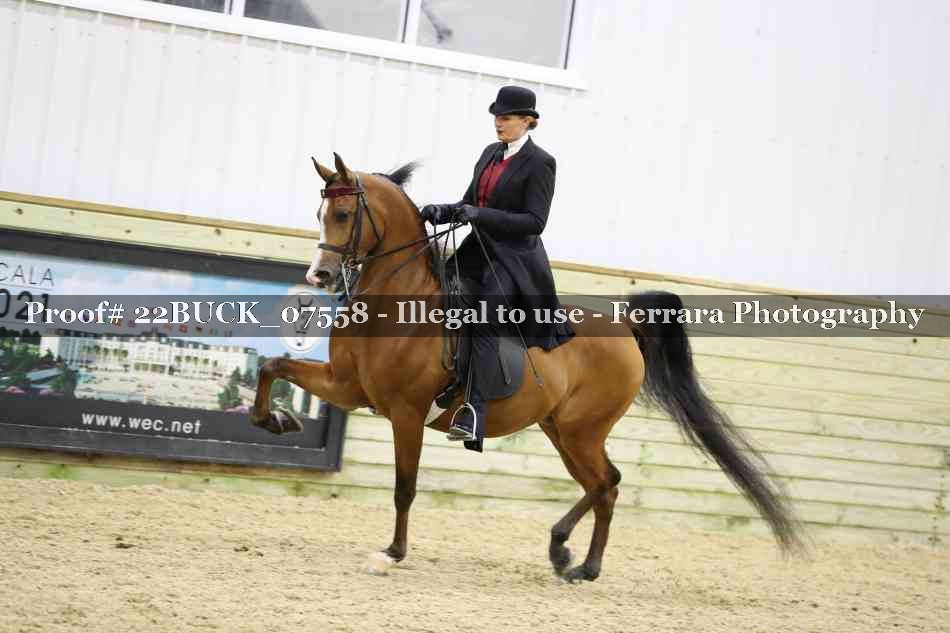Proof 22BUCK_07558