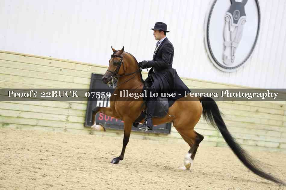 Proof 22BUCK_07559
