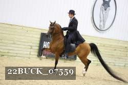 22BUCK_07559 proof