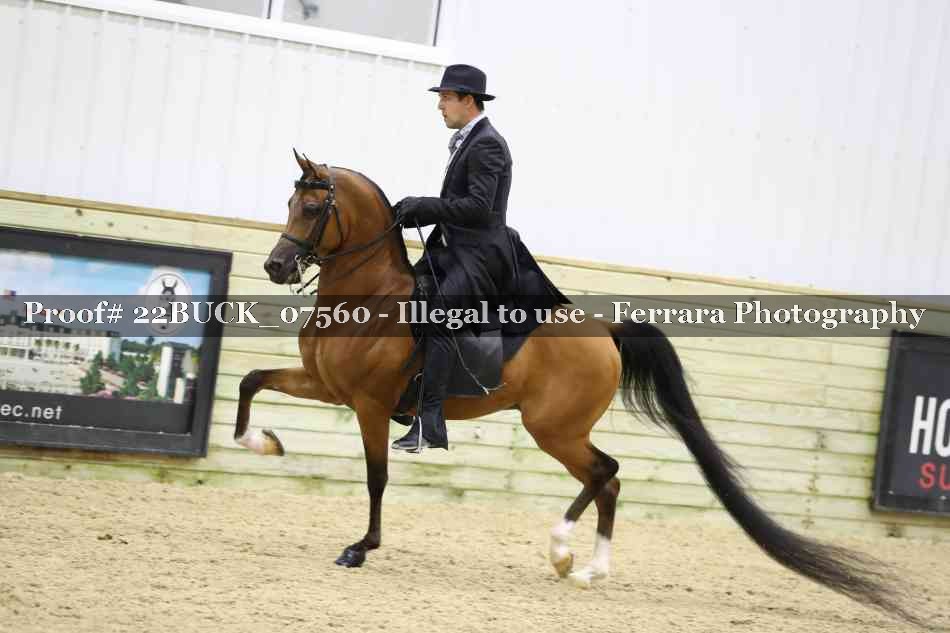 Proof 22BUCK_07560