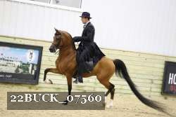 22BUCK_07560 proof