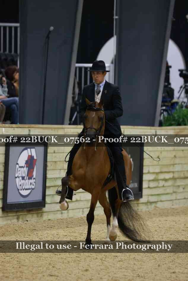 Proof 22BUCK_07562