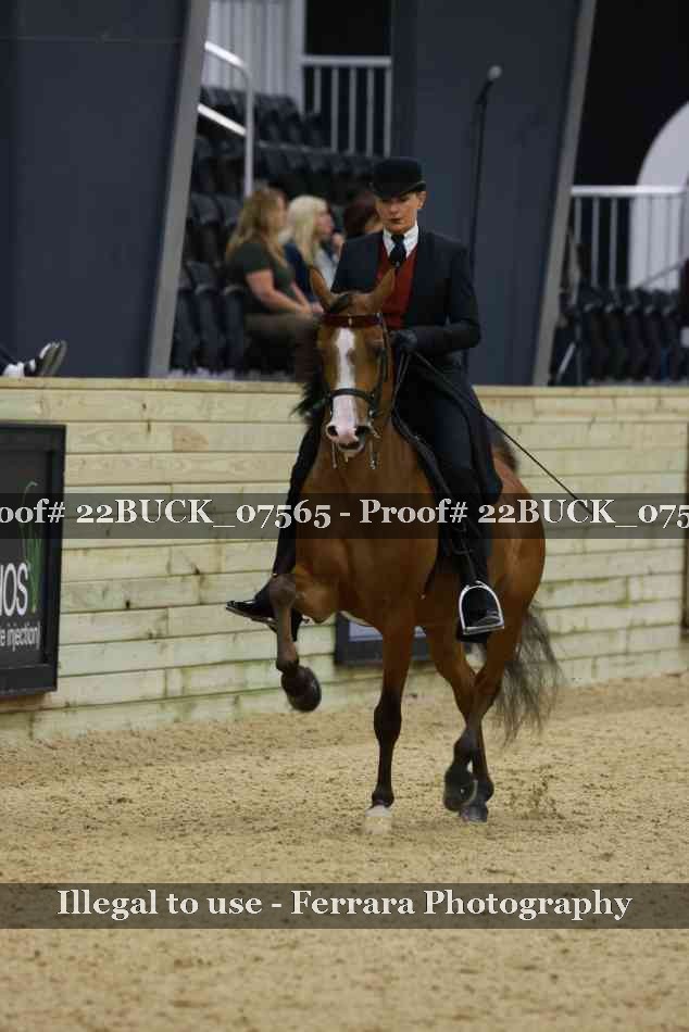 Proof 22BUCK_07565