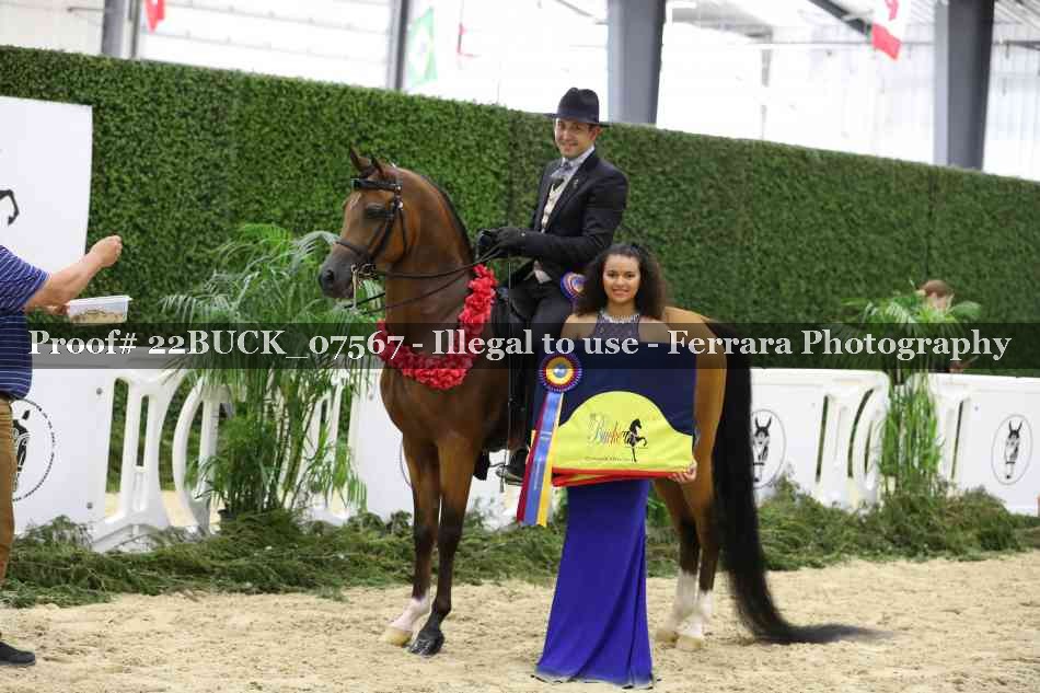 Proof 22BUCK_07567