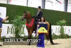22BUCK_07567 proof