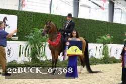 22BUCK_07568 proof