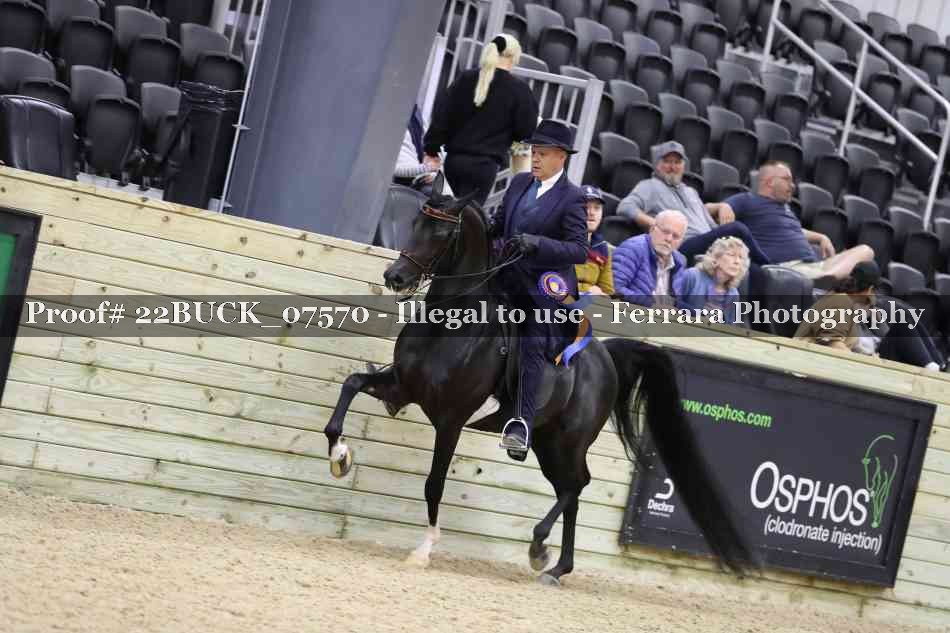Proof 22BUCK_07570