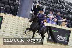 22BUCK_07570 proof