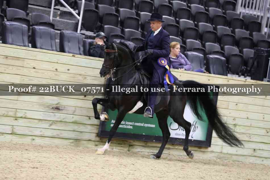 Proof 22BUCK_07571